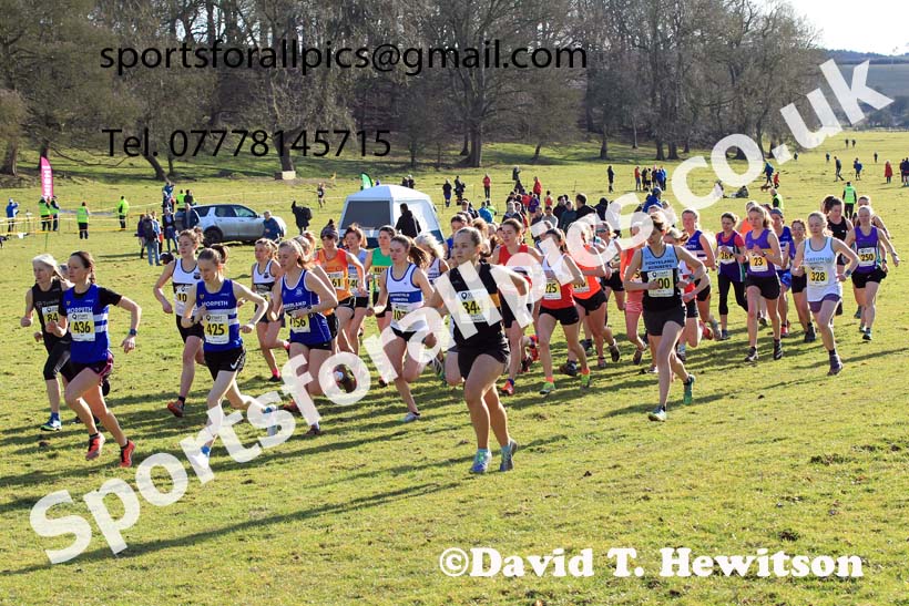 Senior womens 2023 NEHL, Thornley Farm, Peterlee, County Durham. Photo: David T. Hewitson/Sports for All Pics